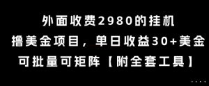 外面收费2980的挂G撸美金项目，单日收益30+美金，可批量可矩阵【揭秘】-大齐资源站