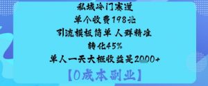 私域冷门赛道:单个收费198米引流模板简单人群精准转化45%单人一天大概收益是1k+-大齐资源站
