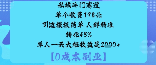 私域冷门赛道:单个收费198米引流模板简单人群精准转化45%单人一天大概收益是1k+-大齐资源站