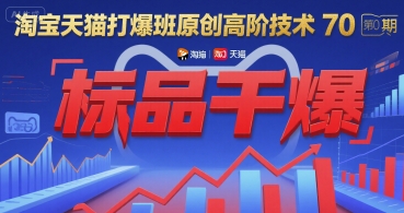 淘宝天猫打爆班原创高阶技术第70期：标品干爆-大齐资源站