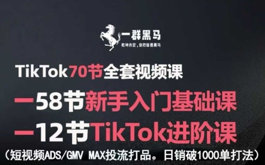 TikTok全套视频课，新手入门+进阶课，短视频ADS-GMV MAX投流打品，日销破1000单打法-大齐资源站