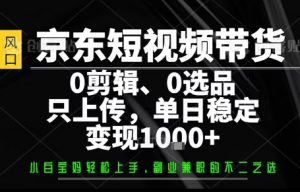 你出账号，我来运营，保底日入1k+，开启躺賺模式【揭秘】-大齐资源站