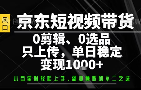 你出账号，我来运营，保底日入1k+，开启躺賺模式【揭秘】-大齐资源站