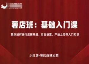 小红薯薯店商城卖货，基础入门课，教你如何进行店铺开通、后台设置、产品上传等入门知识-大齐资源站