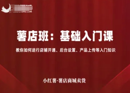 小红薯薯店商城卖货，基础入门课，教你如何进行店铺开通、后台设置、产品上传等入门知识-大齐资源站