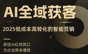 AI全域获客实训营，2025低成本高转化的智能营销，精准找客，高效营销-大齐资源站