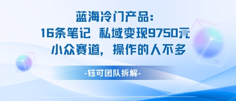 蓝海项目：16条笔记私域变现9750米小众赛道操作的人不多-大齐资源站
