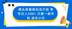 微头条最强玩法介绍一个号日入5张+只要一部手机适合小白-大齐资源站