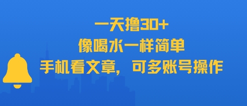 一天撸30+，像喝水一样简单，手机看文章，可多账号操作-大齐资源站
