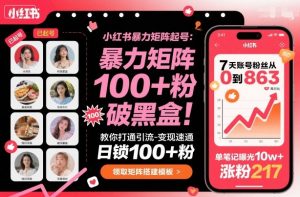 小红书暴力矩阵起号,教你打通引流-变现速通,日锁100+粉,破流量黑盒-大齐资源站