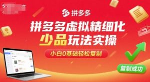 拼多多虚拟精细化少品玩法实操，小白0基础轻松复制-大齐资源站