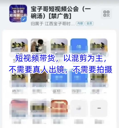 宝子哥头部团队短视频带货，以混剪为主，不需要真人出镜，不需要拍摄【更新8月】-大齐资源站
