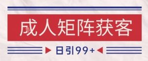 小红书某音橙人赛道引流获客，自热矩阵日引200+【揭秘】-大齐资源站