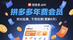 拼多多年费会员，实经验分享操，时长拉满，干货拉满(更新9月)-大齐资源站