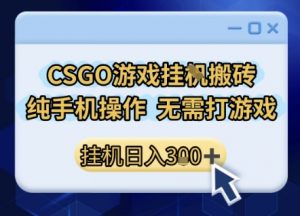 CSGO游戏挂G搬砖，小白纯手机即可操作，不用电脑打游戏，日入3张+，副业网创项目【揭秘】-大齐资源站