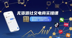 无货源社交电商实操课，绕开传统互联网电商模式，撒豆成兵，实现跨平台交易-大齐资源站