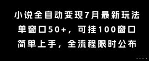 小说全自动变现7月玩法，单窗口50+，可挂100窗口，简单上手，全流程限时公布【揭秘】-大齐资源站