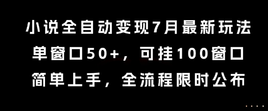 小说全自动变现7月玩法，单窗口50+，可挂100窗口，简单上手，全流程限时公布【揭秘】-大齐资源站