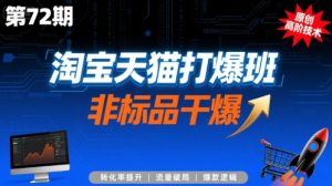 淘宝天猫打爆班原创高阶技术第72期,非标品干爆-大齐资源站