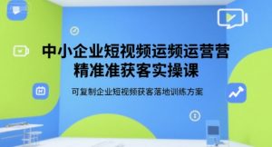 中小企业短视频运营精准获客实操课，可复制企业短视频获客落地训练方案-大齐资源站