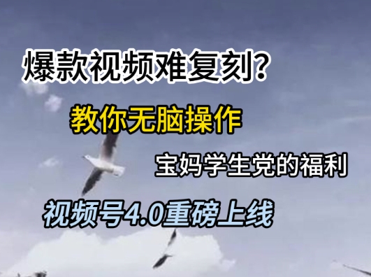 视频号4.0重磅上线，爆款视频难复刻？教你无脑操作宝妈学生党的福利【揭秘】-大齐资源站
