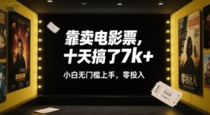 靠卖电影票，十天搞了7k+，小白无门槛上手，零投入【揭秘】-大齐资源站