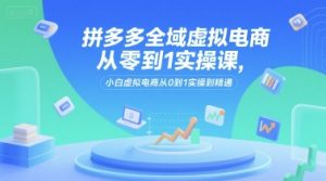 拼多多全域虚拟电商从零到1实操课，小白虚拟电商从0到1实操到精通-大齐资源站