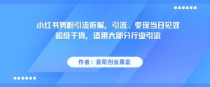小红书男粉引流拆解，引流、变现当日见效超级干货，适用大部分行业引流-大齐资源站