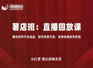 小红薯薯店商城卖货直播回放课，教你如何开店选品、如何系统引流，实现快速卖货变现-大齐资源站