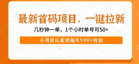 最新首码项目，操作最简单，收益高，一键拉新，1个小时单号可50+，小项目认真做每天5张+收益【揭秘】-大齐资源站