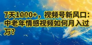 7天收益1k+，视频号新风口：中老年情感视频如何月入过W?-大齐资源站
