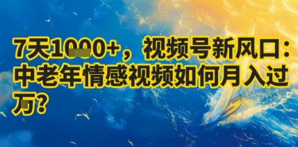 7天收益1k+，视频号新风口：中老年情感视频如何月入过W?-大齐资源站
