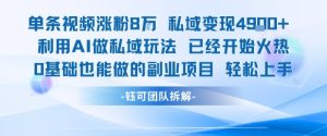 单条视频私域变现4.9k+利用AI做私域玩法 已经开始火热0基础也能做的副业项目轻松上手-大齐资源站