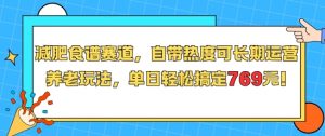 减肥食谱赛道，自带热度可长期运营，养老玩法，单日轻松搞定769-大齐资源站