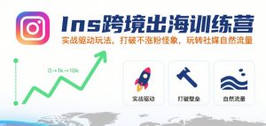 Ins跨境出海训练营，实战驱动玩法，打破不涨粉怪象，玩转社媒自然流量-大齐资源站