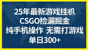 25年CSGO游戏搬砖，全自动挂G，不需要玩游戏，手机操作日入3张+【揭秘】-大齐资源站