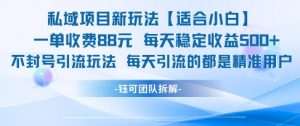 私域项目新玩法【适合小白】 一单收费88.每天稳定收益几张-大齐资源站