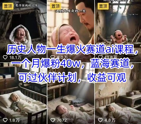 历史人物一生爆火赛道ai课程，一个月爆粉40w，蓝海赛道，可过伙伴计划，收益可观-大齐资源站