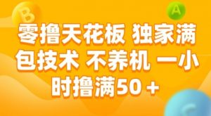零撸天花板,独家满包技术 不养机 一小时撸满50+【揭秘】-大齐资源站