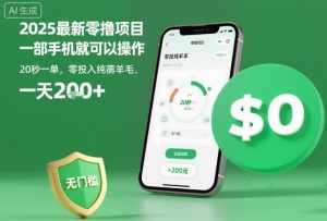 2025最新零撸项目，一部手机就可以操作，20秒一单，零投入纯薅羊毛，无门槛，一天200+【揭秘】-大齐资源站