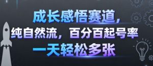 成长感悟赛道，纯自然流，百分百起号率 一天轻松多张-大齐资源站