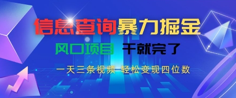 信息查询暴力掘金，一天三条视频，轻松变现四位数，风口项目干就完了【揭秘】-大齐资源站