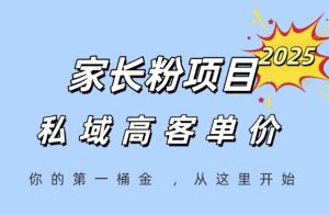 家长粉项目,一个可以长期变现暴利项目,私域高客单价,轻松完成你的人生第一桶金-大齐资源站