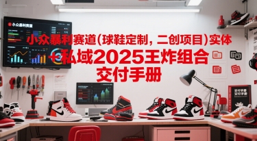 小众暴利赛道(球鞋定制，二创项目)实体+私域2025王炸组合  交付手册-大齐资源站