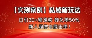 【实测案例】私域新玩法，日引30+精准粉，转化率50%，新人照做也能出单！-大齐资源站