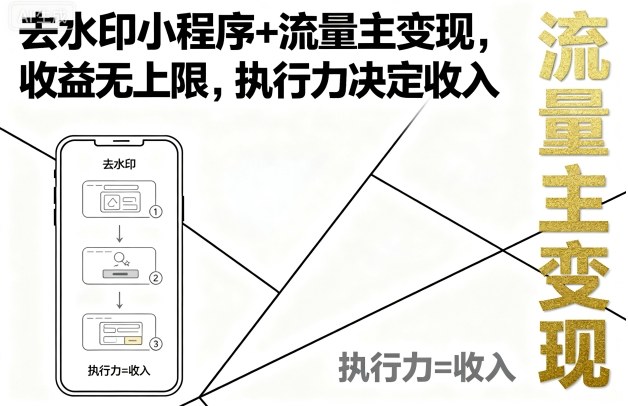 去水印小程序+流量主变现，收益无上限，执行力决定收入-大齐资源站