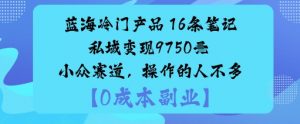 蓝海冷门产品：16条笔记私域变现9750米小众赛道，操作的人不多-大齐资源站