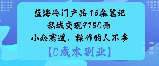 蓝海冷门产品：16条笔记私域变现9750米小众赛道，操作的人不多-大齐资源站