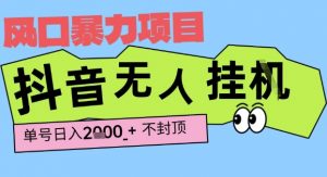 2025最新抖音暴力挂G撸金项目，单号产出2k+ ，小白当天也能拿结果，长期稳定做的项目【揭秘】-大齐资源站
