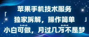 苹果手机技术服务，独家拆解，操作简单，小白可做，月过1W不是梦-大齐资源站